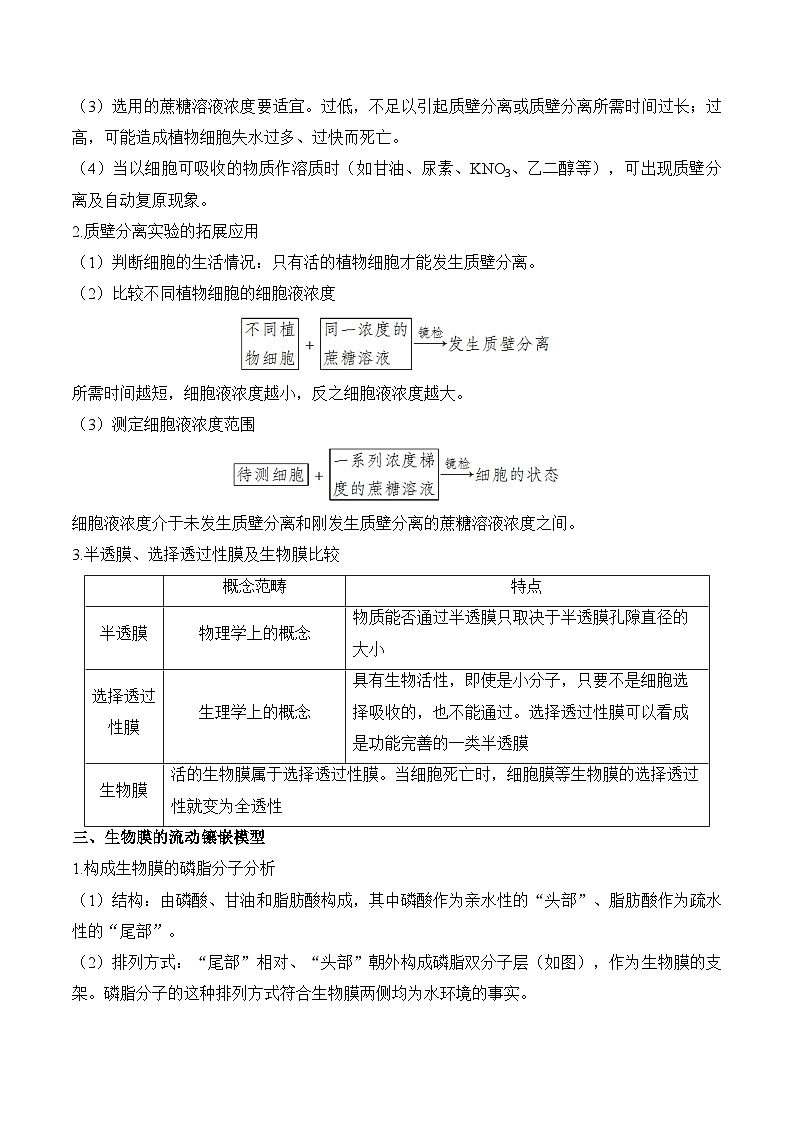 （3）细胞的物质输入和输出——2025届高考生物二轮复习易错重难提升试题（含解析）第2页
