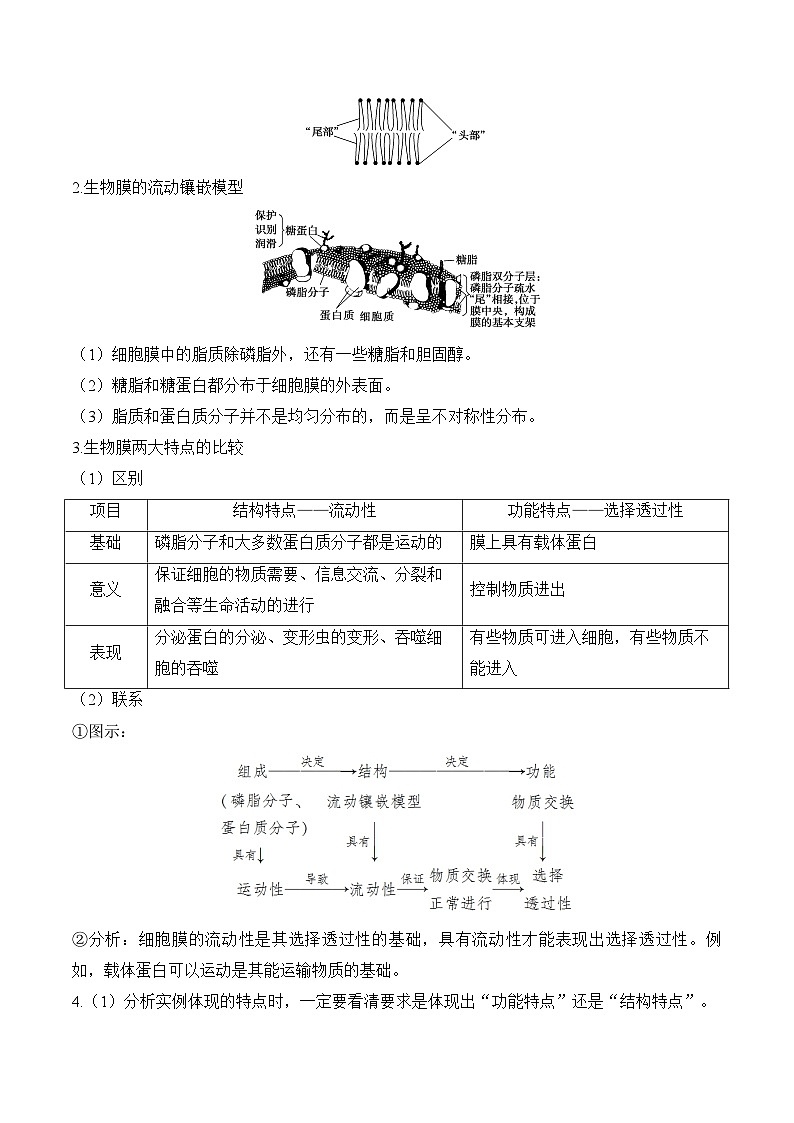 （3）细胞的物质输入和输出——2025届高考生物二轮复习易错重难提升试题（含解析）第3页