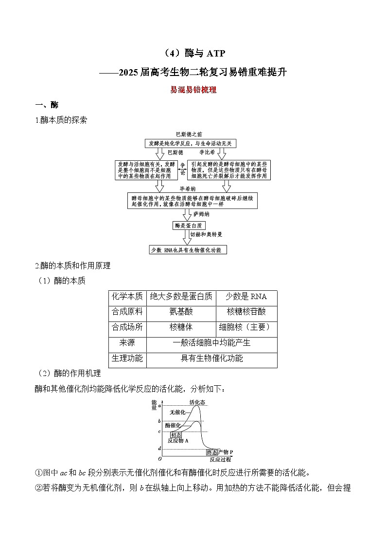 （4）酶与ATP——2025届高考生物二轮复习易错重难提升试题（含解析）第1页