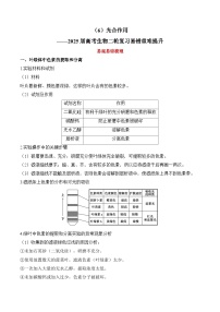 （6）光合作用——2025届高考生物二轮复习易错重难提升试题（含解析）