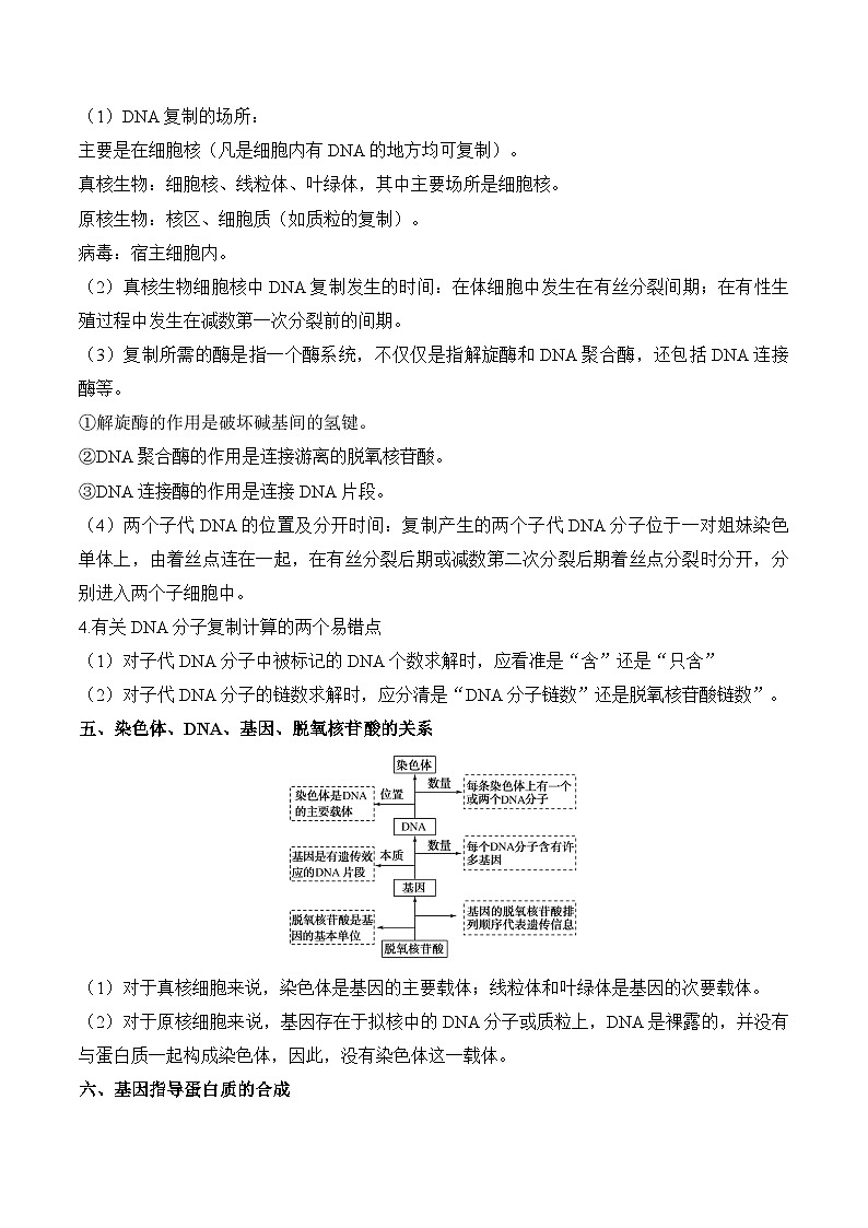 （9）遗传的分子基础——2025届高考生物二轮复习易错重难提升试题（含解析）第3页