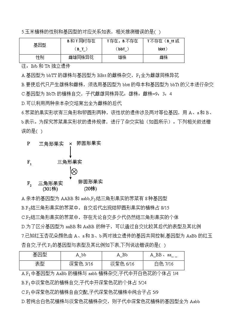 （11）基因的自由组合定律——2025届高考生物二轮复习易错重难提升试题（含解析）第3页