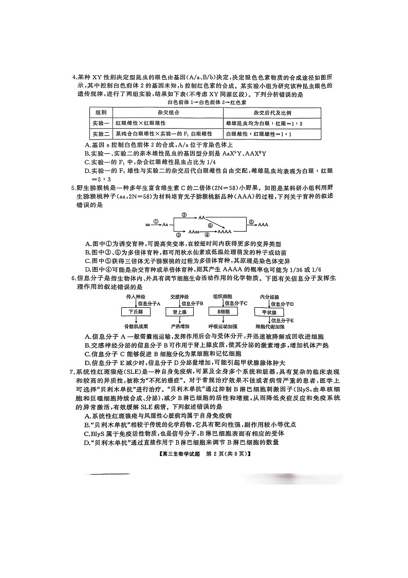 2025湖南省三湘名校教育联盟五市十校教研教改共同体高三下学期2月入学大联考试题生物图片版无答案第2页