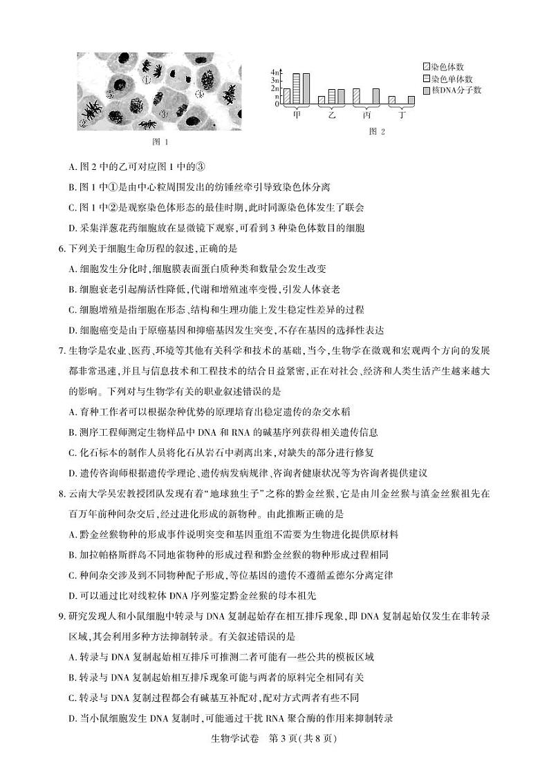 湖北省圆创高中名校联盟2025届高三第三次联合测评生物第3页