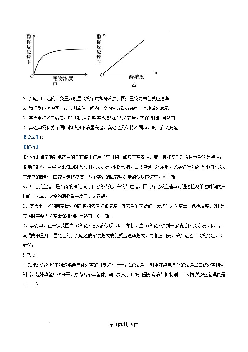 2025届安徽省蚌埠市高三年级第一次教学质量检查考试生物试题含解析第3页