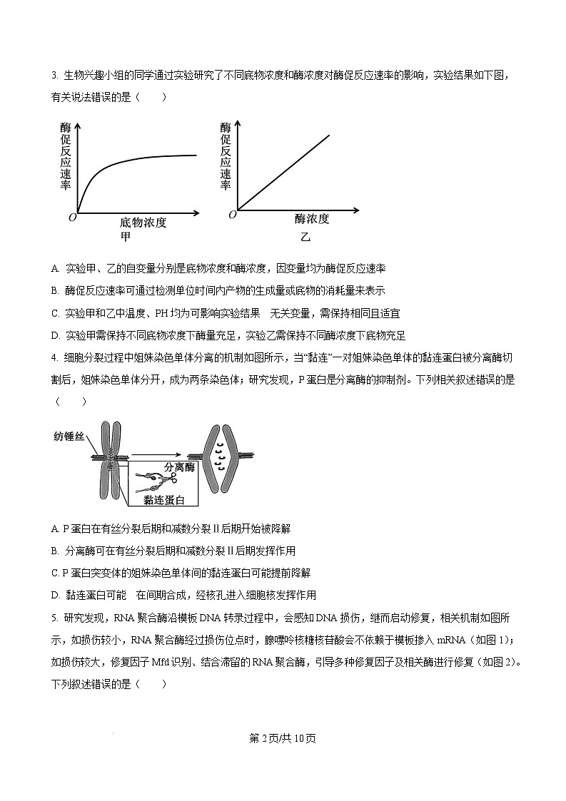 2025届安徽省蚌埠市高三年级第一次教学质量检查考试生物试题无答案第2页
