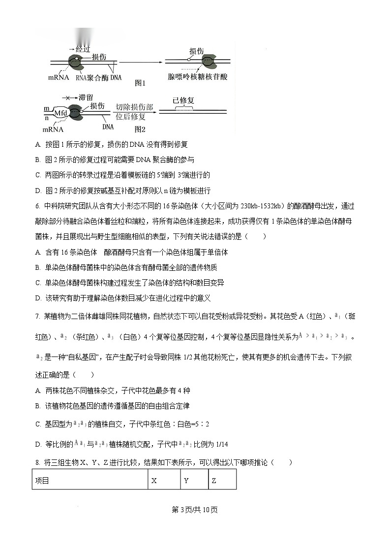 2025届安徽省蚌埠市高三年级第一次教学质量检查考试生物试题无答案第3页