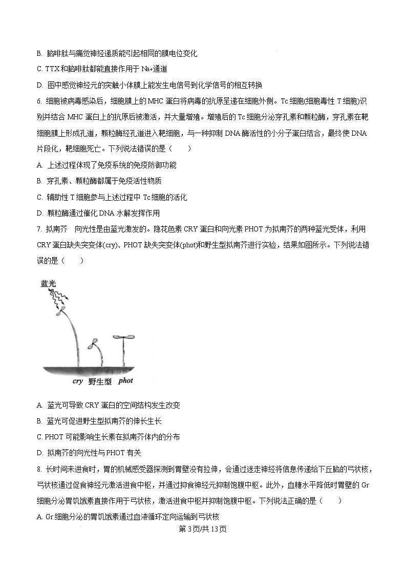 山东省德州市2024-2025学年高三上学期1月期末生物试题无答案第3页