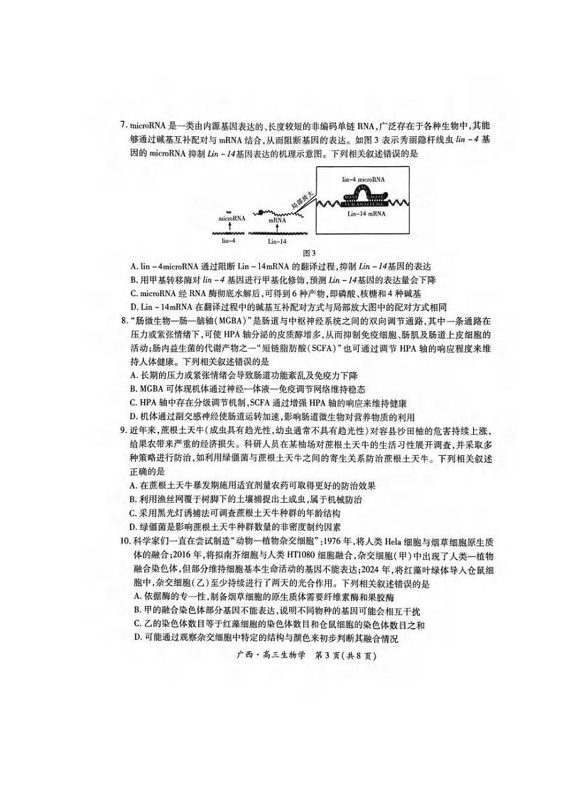 生物丨广西壮族自治区上进联考2025届高三2月春季开学考生物试卷及答案第3页