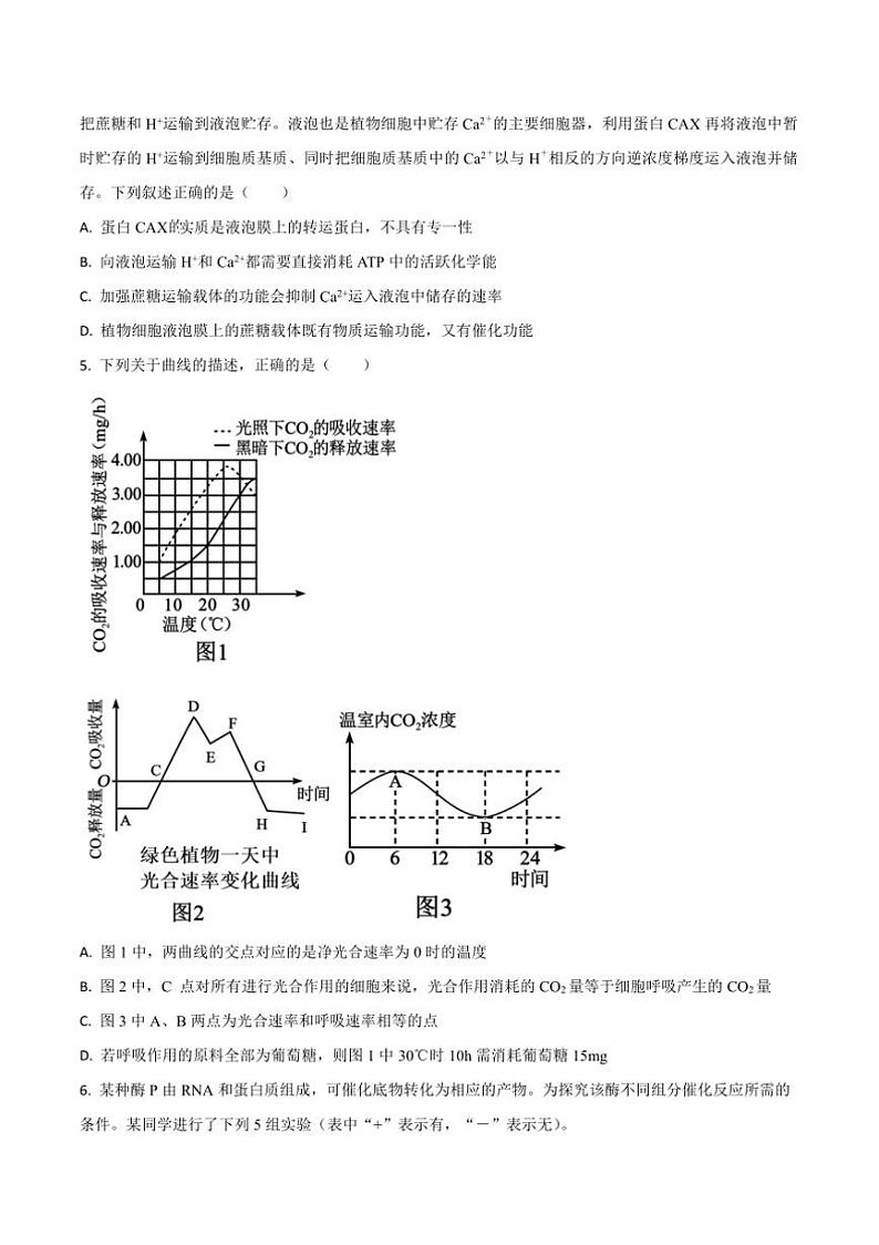 2025届吉林省通化市梅河口市第五中学高三上期中生物试卷(含答案)第2页