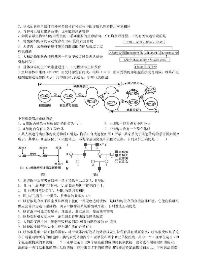 2025届辽宁省本溪市高三下开学适应性考试生物试卷(含答案)第2页