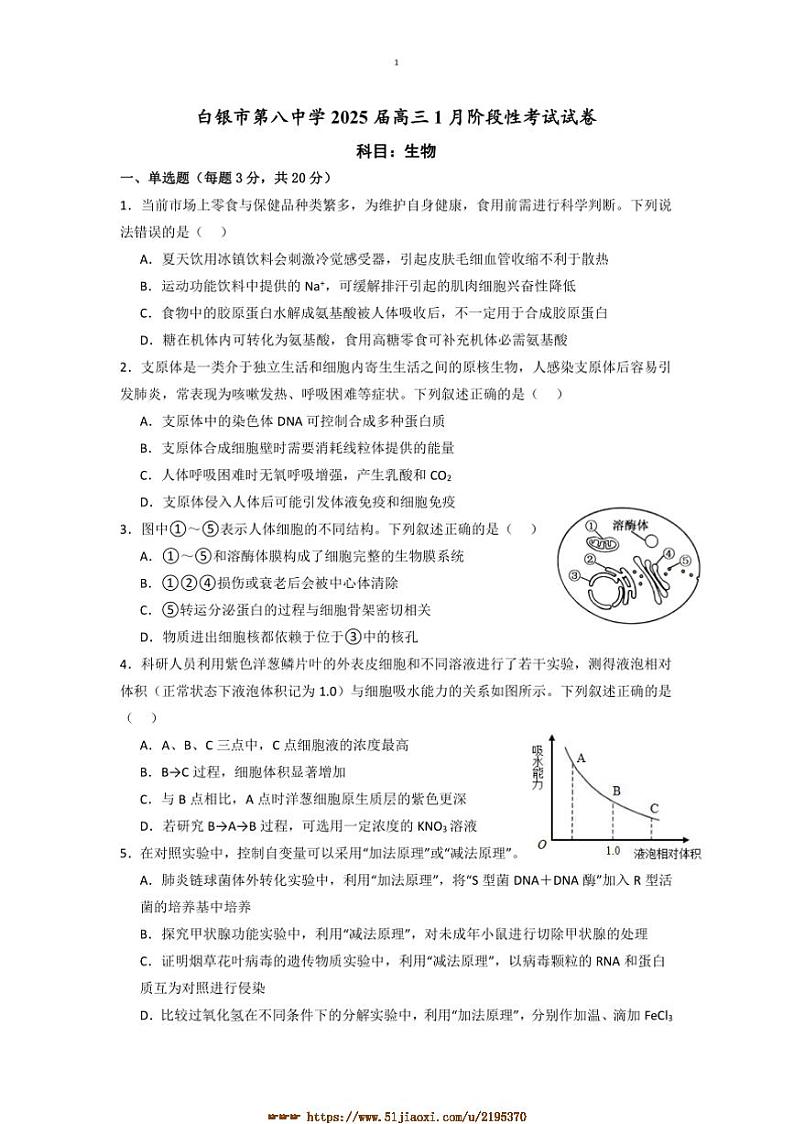 2024～2025学年甘肃省白银市第八中学高三上1月月考卷生物试卷(含答案)第1页