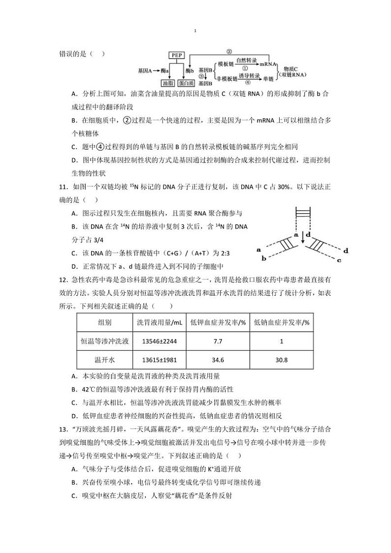 2024～2025学年甘肃省白银市第八中学高三上1月月考卷生物试卷(含答案)第3页