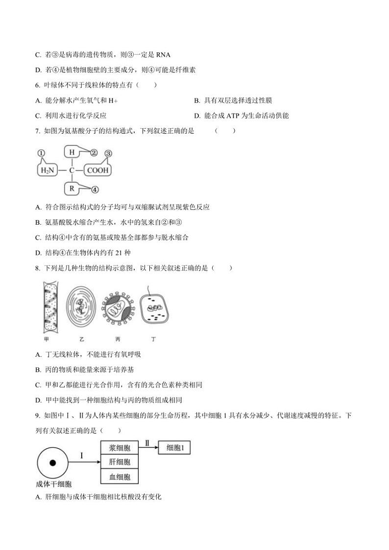 2024～2025学年吉林省通化市梅河口市第五中学高一上1月期末考试生物试卷(含答案)第2页