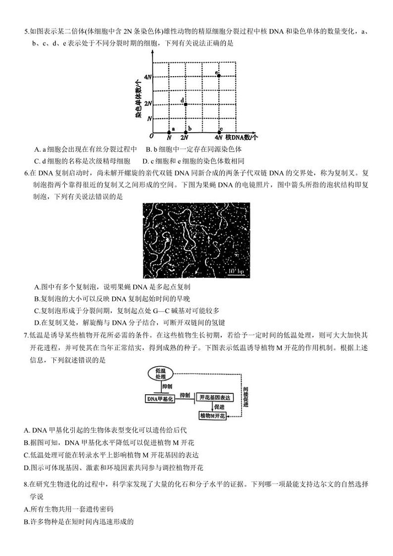 2024～2025学年海南省高三学业水平诊断(二)生物试卷(含答案)第2页