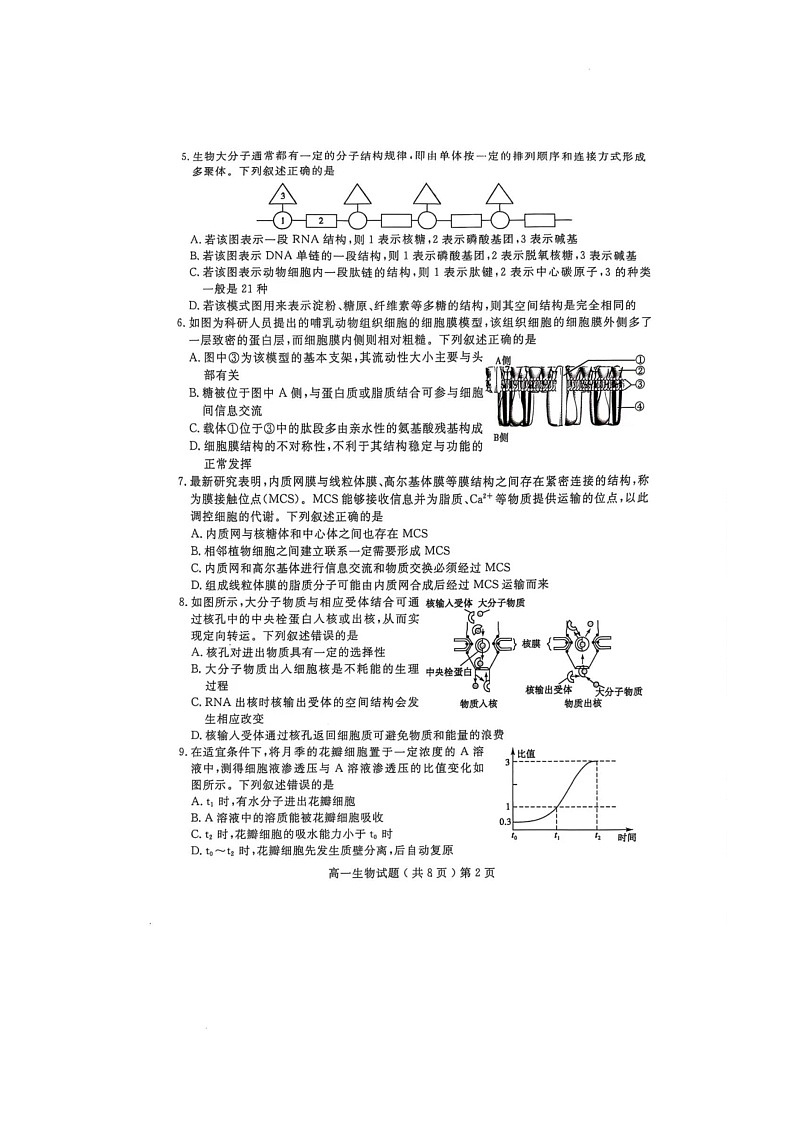 山东省聊城市2024-2025学年高一上学期1月期末考试生物试卷（PDF版附答案）第2页