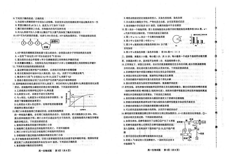 山东省潍坊市2024-2025学年高一上学期期末考试生物试卷（PDF版附答案）第2页