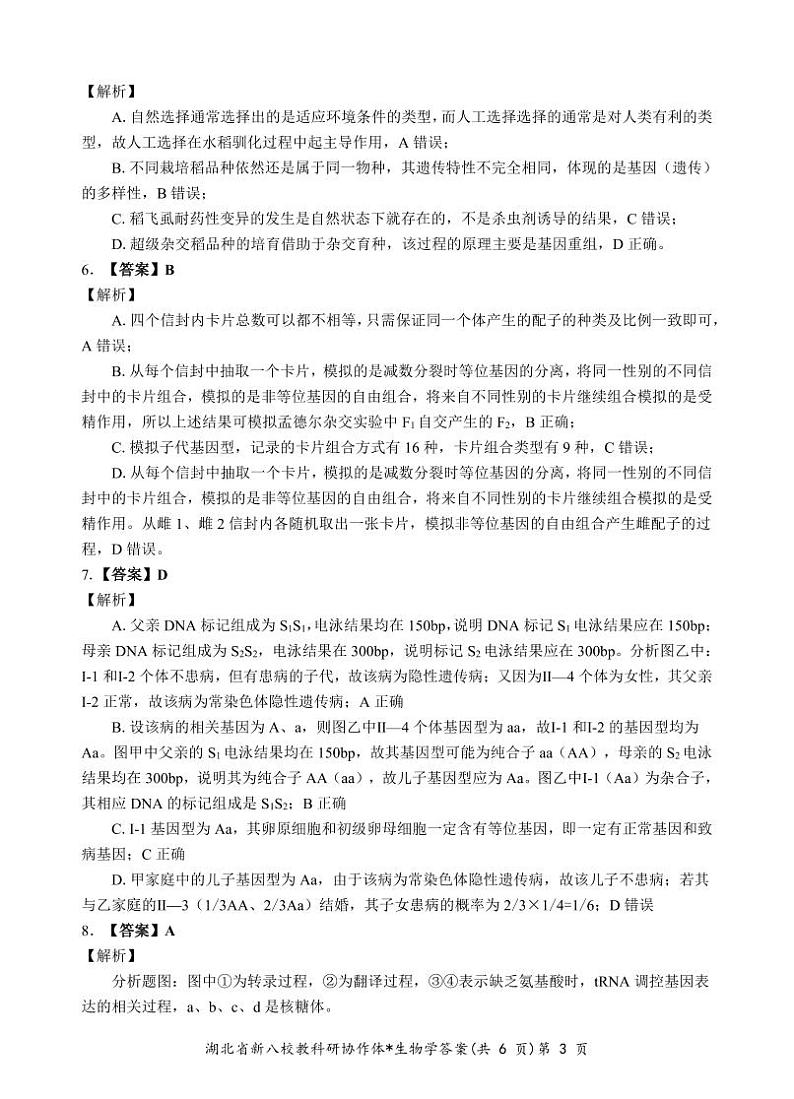 新八校高三生物答案第3页
