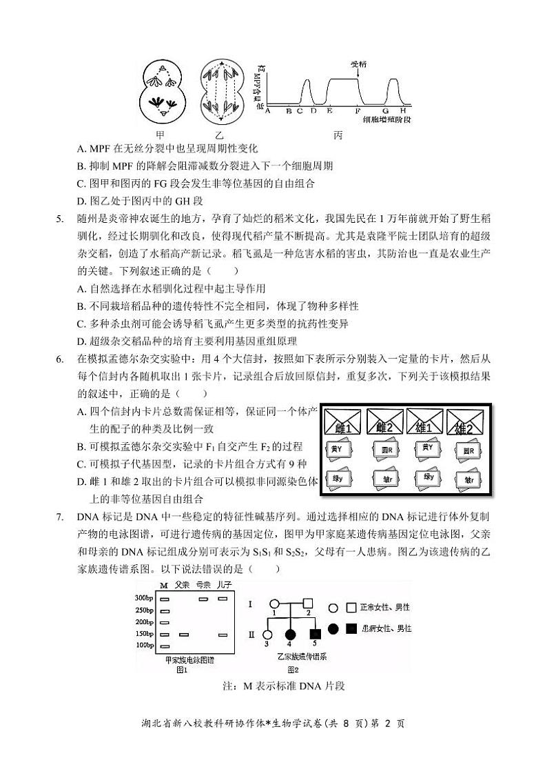 新八校高三生物试卷第2页