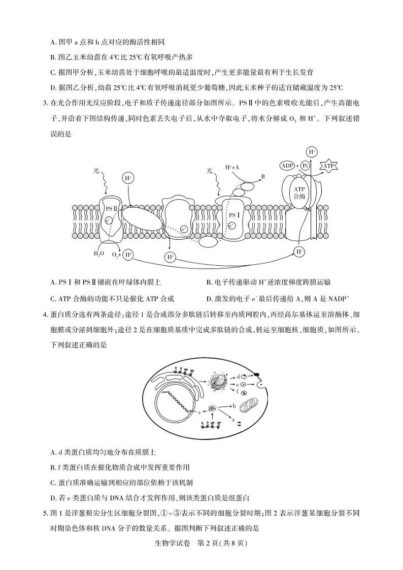 湖北省圆创高中名校联盟2025届高三第三次联合测评生物第2页