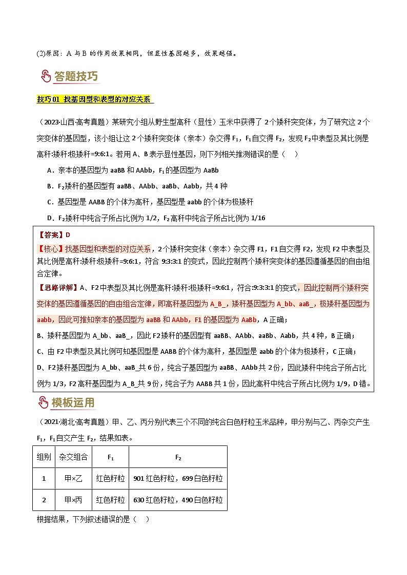 题型02 遗传与进化类（3大模板）-2025年高考生物答题技巧与模板构建（新高考通用）（解析版）第3页