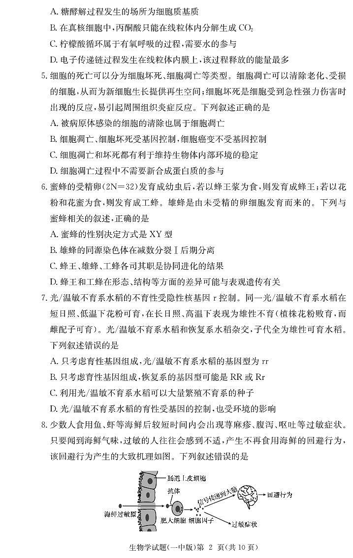 炎德·英才大联考长沙市一中 2025 届高三月考试卷（六）生物第2页
