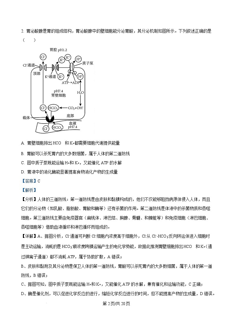 山西省吕梁市2024-2025学年高三上学期1月期末生物试题含解析第2页