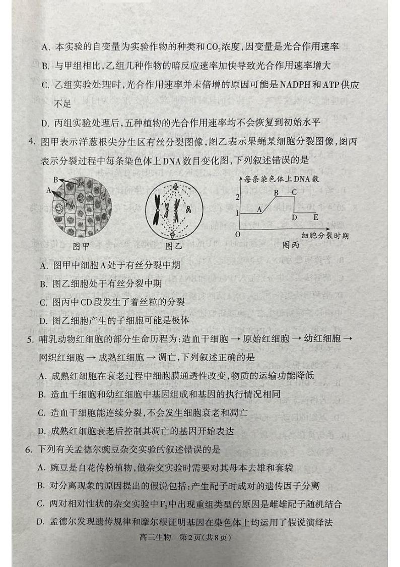 2025吕梁高三上学期期末考试生物PDF版含解析第2页