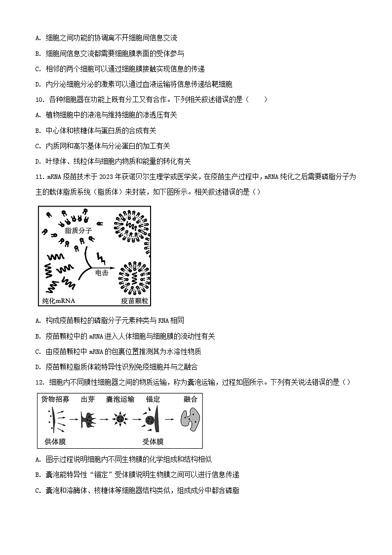 山东省济南市2023_2024学年高一生物上学期1月期末考试含解析第3页