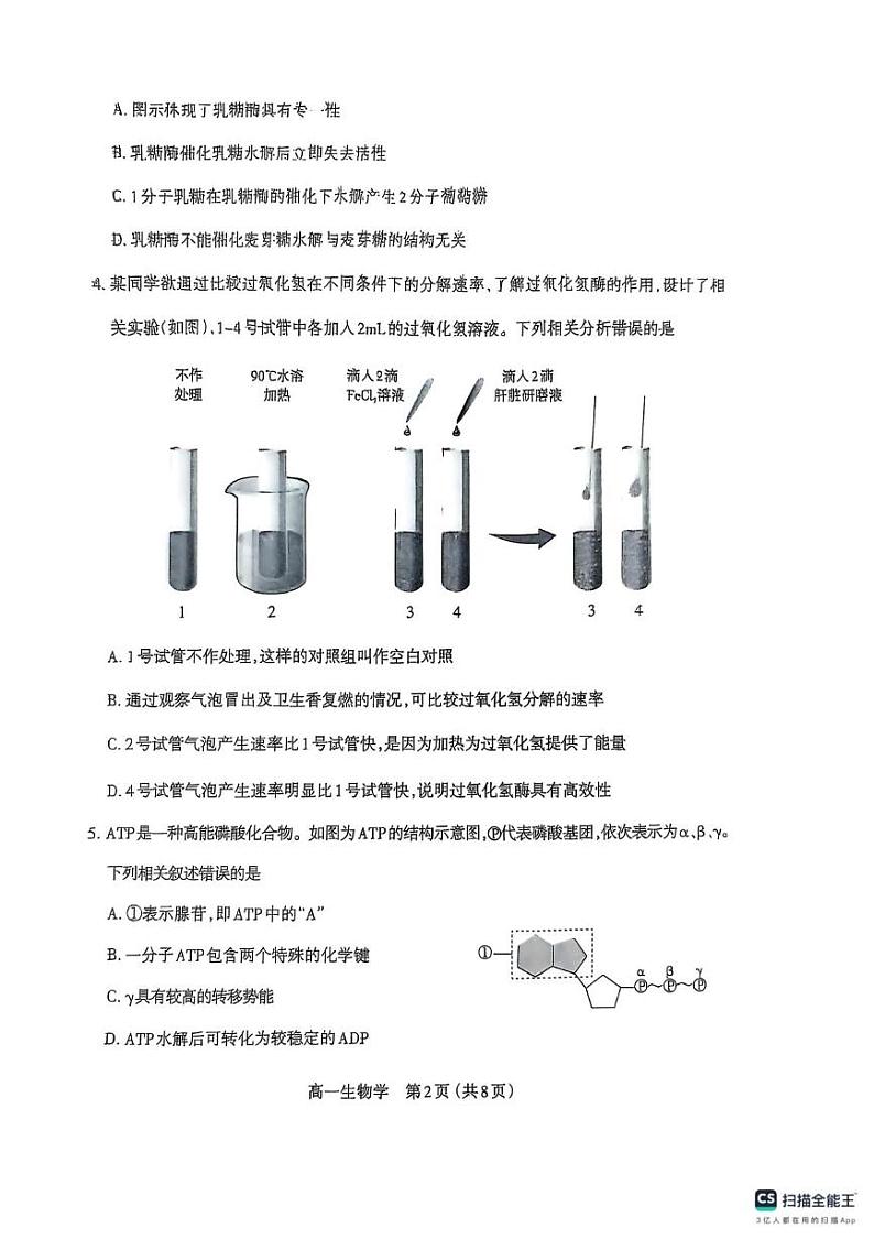 山西省太原市2024-2025学年高一上学期1月期末生物试题第2页