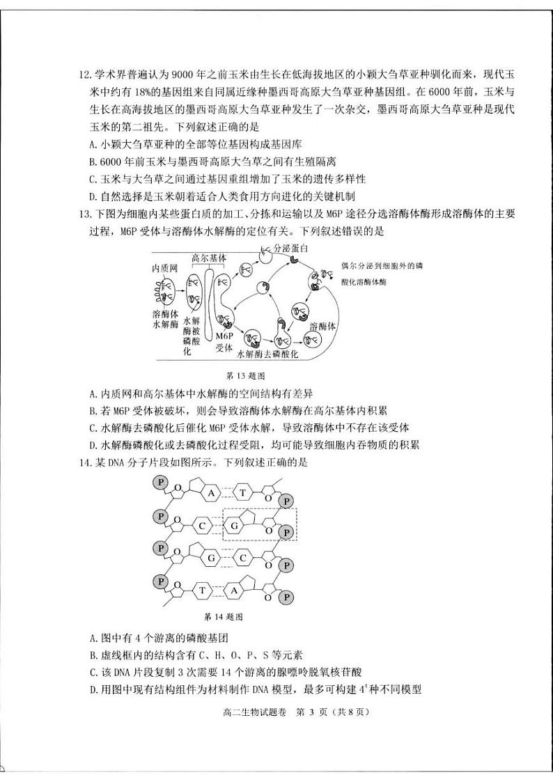 浙江省杭州市2024-2025学年高二上学期1月期末生物试题第3页