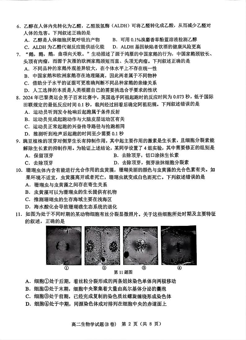 浙江省温州市2024-2025学年高二上学期期末教学质量统一检测生物试卷（B卷）第2页