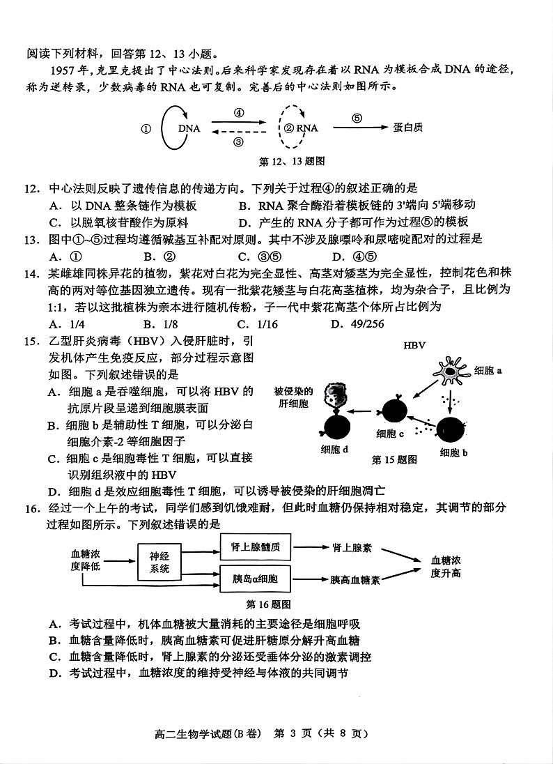 浙江省温州市2024-2025学年高二上学期期末教学质量统一检测生物试卷（B卷）第3页