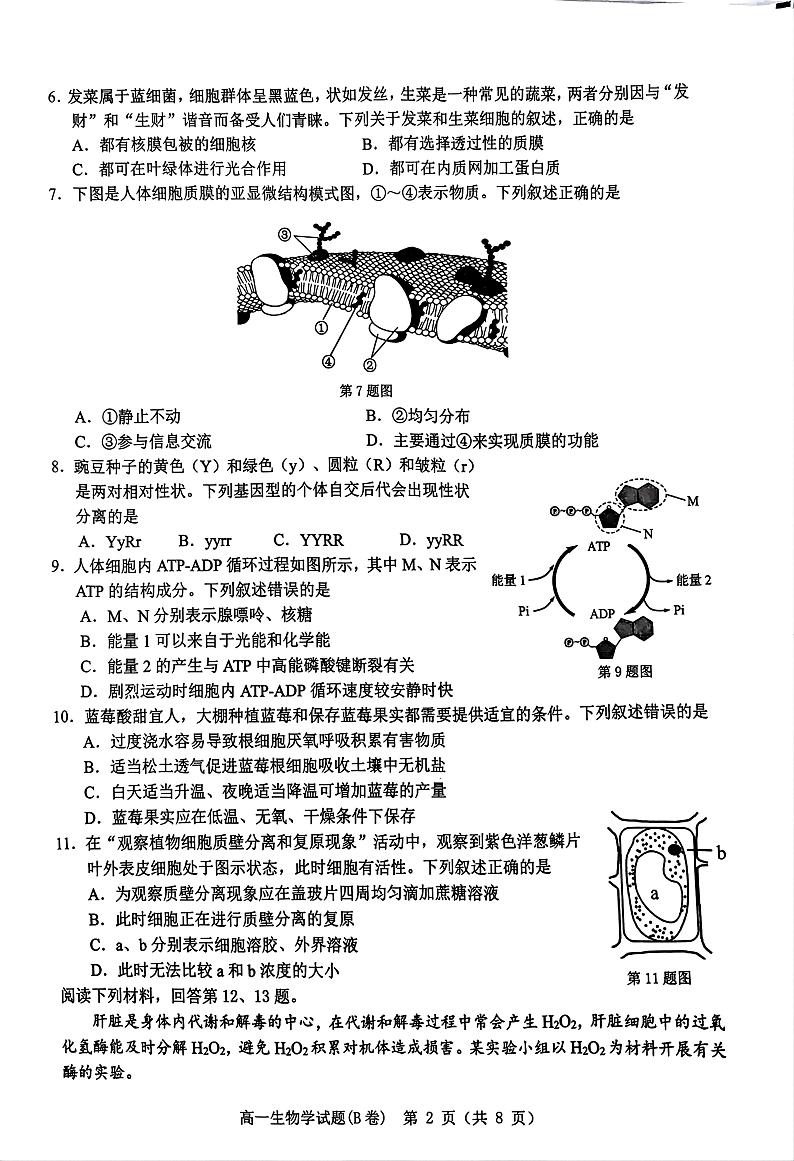 浙江省温州市2024-2025学年高一上学期期末教学质量统一检测生物试卷（B卷）第2页