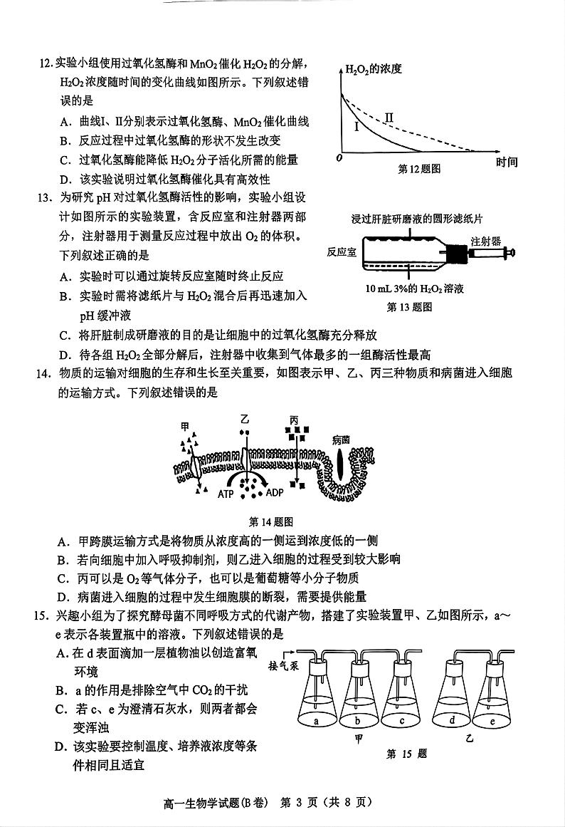 浙江省温州市2024-2025学年高一上学期期末教学质量统一检测生物试卷（B卷）第3页