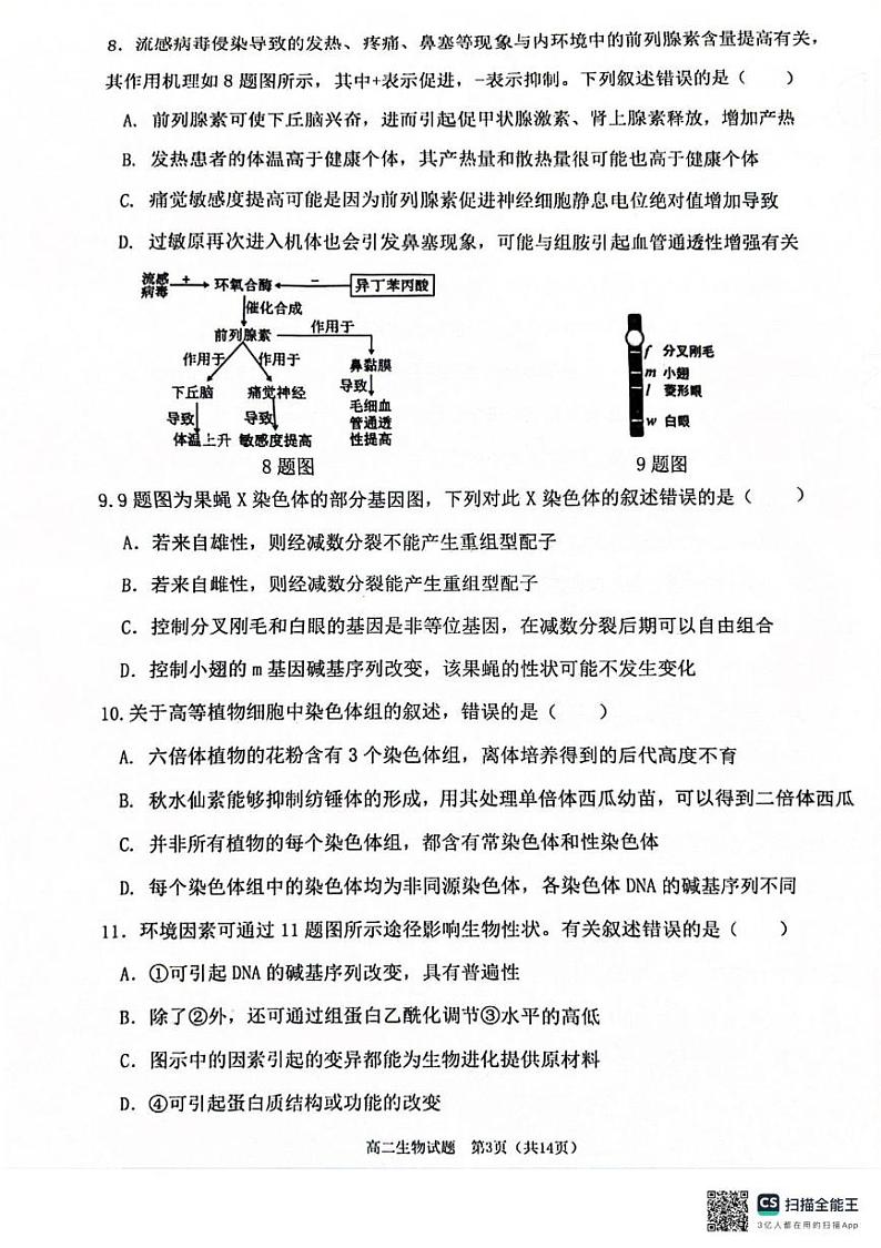 重庆市主城七校联考2024-2025学年高二上学期期末考试生物试题第3页