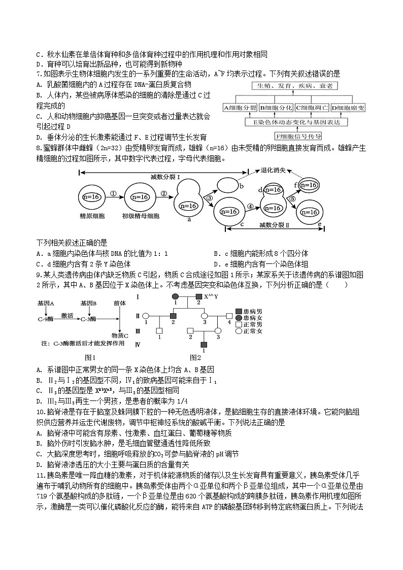 2025届辽宁省本溪市高三下学期开学适应性考试生物试题第2页