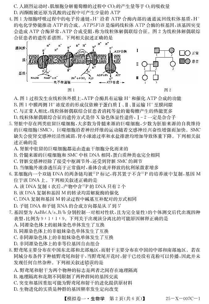 河南省新高中创新联盟2025届高三模拟卷一（25-X-007C-1）生物第2页