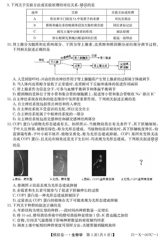 河南省新高中创新联盟2025届高三模拟卷一（25-X-007C-1）生物第3页