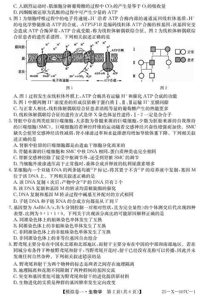 生物丨普通高等学校招生考试模拟卷（一）2025届高三下学期2月开学联考生物试卷及答案第2页