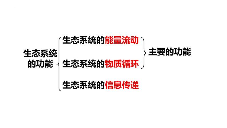 第46讲 生态系统的能量流动-备战2025年高考生物一轮复习精品课件（新高考通用）第3页