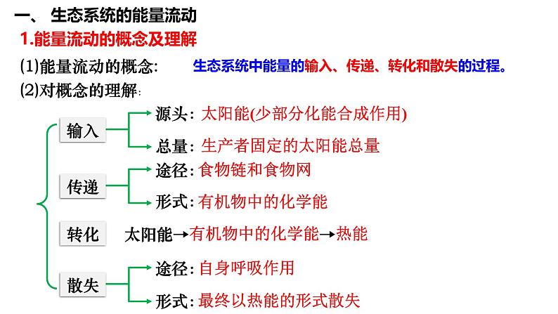 第46讲 生态系统的能量流动-备战2025年高考生物一轮复习精品课件（新高考通用）第4页