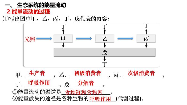 第46讲 生态系统的能量流动-备战2025年高考生物一轮复习精品课件（新高考通用）第5页