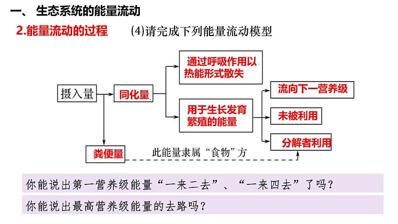 第46讲 生态系统的能量流动-备战2025年高考生物一轮复习精品课件（新高考通用）第8页