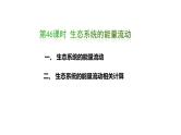 第46讲 生态系统的能量流动-备战2025年高考生物一轮复习精品课件（新高考通用）