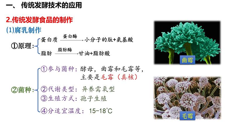 第49讲 传统发酵技术的应用与发酵工程-备战2025年高考生物一轮复习精品课件（新高考通用）第5页