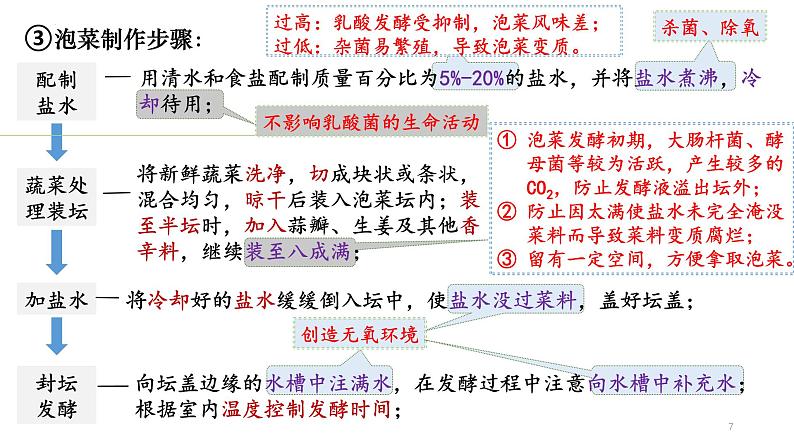 第49讲 传统发酵技术的应用与发酵工程-备战2025年高考生物一轮复习精品课件（新高考通用）第7页