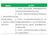 第50讲 微生物的培养技术及应用-备战2025年高考生物一轮复习精品课件（新高考通用）