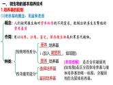 第50讲 微生物的培养技术及应用-备战2025年高考生物一轮复习精品课件（新高考通用）