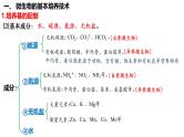 第50讲 微生物的培养技术及应用-备战2025年高考生物一轮复习精品课件（新高考通用）